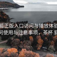 茶杯狐正版入口访问与播放体验：如何使用与注意事项，茶杯 狐