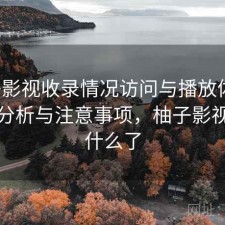 柚子影视收录情况访问与播放体验：实测分析与注意事项，柚子影视改成什么了