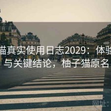 柚子猫真实使用日志2029：体验变化与关键结论，柚子猫原名