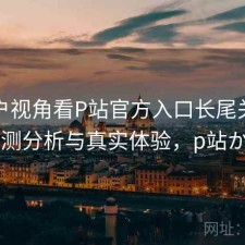 从用户视角看P站官方入口长尾关键词：实测分析与真实体验，p站からん