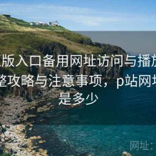 P站正版入口备用网址访问与播放体验：完整攻略与注意事项，p站网址到底是多少
