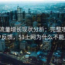 51网流量增长现状分析：完整攻略与用户反馈，51上网为什么不能用了