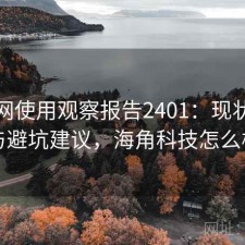 海角网使用观察报告2401：现状分析与避坑建议，海角科技怎么样