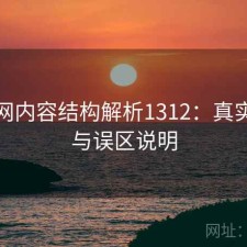 黑料网内容结构解析1312：真实情况与误区说明