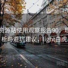 白虎资源站使用观察报告90：现状分析与避坑建议，light白虎