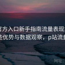 P站官方入口新手指南流量表现如何？有哪些优势与数据观察，p站流量排行