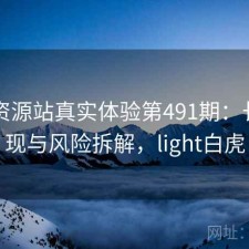 白虎资源站真实体验第491期：长期表现与风险拆解，light白虎