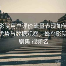 蜂鸟影院用户评价流量表现如何？有哪些优势与数据观察，蜂鸟影院 搜索剧集 视频名