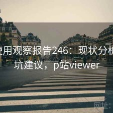 P站使用观察报告246：现状分析与避坑建议，p站viewer