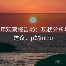 P站使用观察报告49：现状分析与避坑建议，p站intro
