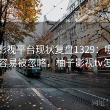 柚子影视平台现状复盘1329：哪些问题最容易被忽略，柚子影视tv怎么样