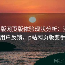 P站正版网页版体验现状分析：注意事项与用户反馈，p站网页版变手机版