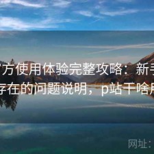 P站官方使用体验完整攻略：新手必看的存在的问题说明，p站干啥用的