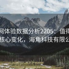 海角网体验数据分析2205：值得关注的核心变化，海角科技有限公司