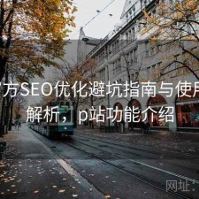 P站官方SEO优化避坑指南与使用技巧解析，p站功能介绍