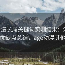 age动漫长尾关键词实测结果：注意事项与优缺点总结，age动漫其他标签