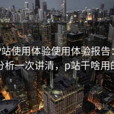 正规P站使用体验使用体验报告：实测分析一次讲清，p站干啥用的