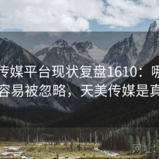 天美传媒平台现状复盘1610：哪些问题最容易被忽略，天美传媒是真的吗