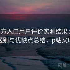 P站官方入口用户评价实测结果：有什么区别与优缺点总结，p站又叫啥