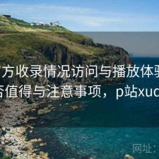 P站官方收录情况访问与播放体验：是否值得与注意事项，p站xude