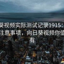 向日葵视频实际测试记录1915：优缺点与注意事项，向日葵视频你值得拥有