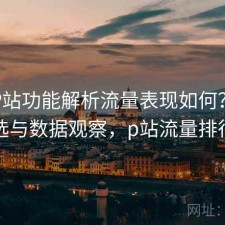 正规P站功能解析流量表现如何？怎么选与数据观察，p站流量排行