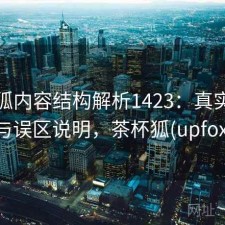 茶杯狐内容结构解析1423：真实情况与误区说明，茶杯狐(upfox)