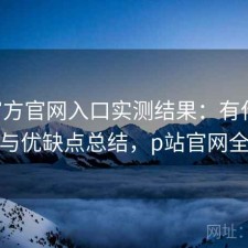 P站官方官网入口实测结果：有什么区别与优缺点总结，p站官网全称