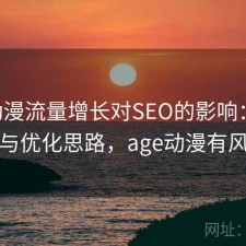 age动漫流量增长对SEO的影响：优化方法与优化思路，age动漫有风险吗