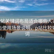 正规P站关键词布局适合哪些人？好不好用与使用场景说明，p站比较好关键词