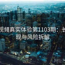 芭乐视频真实体验第1103期：长期表现与风险拆解