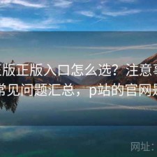 P站正版正版入口怎么选？注意事项与常见问题汇总，p站的官网是