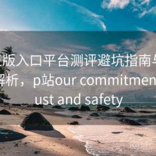 P站正版入口平台测评避坑指南与使用技巧解析，p站our commitment to trust and safety