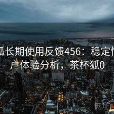 茶杯狐长期使用反馈456：稳定性与用户体验分析，茶杯狐0