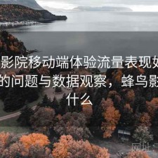 蜂鸟影院移动端体验流量表现如何？存在的问题与数据观察，蜂鸟影院是什么