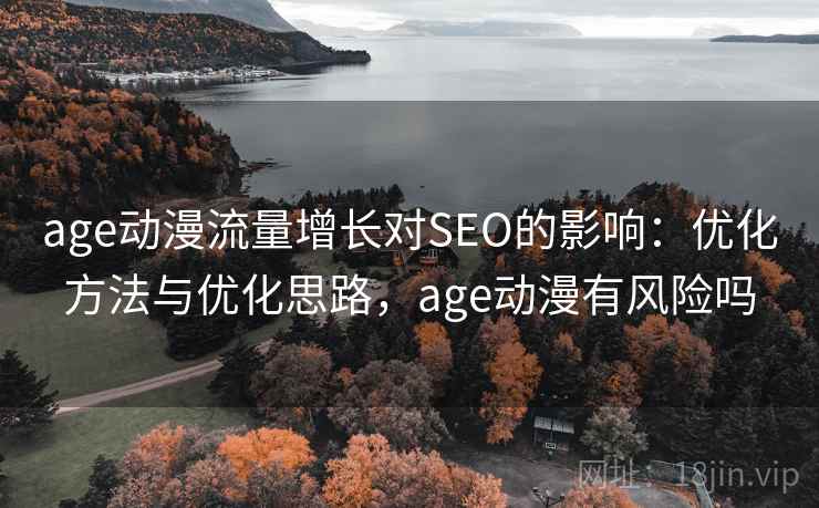age动漫流量增长对SEO的影响：优化方法与优化思路，age动漫有风险吗  第2张
