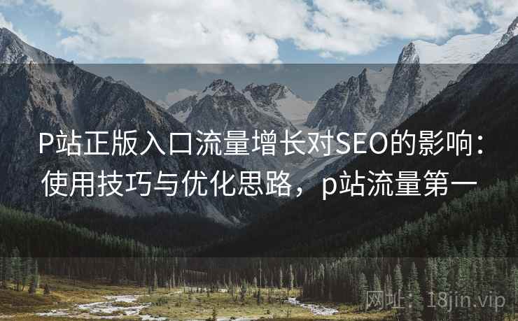 P站正版入口流量增长对SEO的影响：使用技巧与优化思路，p站流量第一  第1张