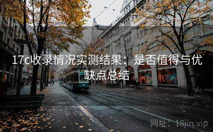 17c收录情况实测结果：是否值得与优缺点总结  第1张