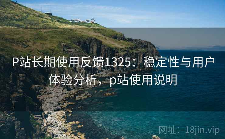 P站长期使用反馈1325：稳定性与用户体验分析，p站使用说明  第2张