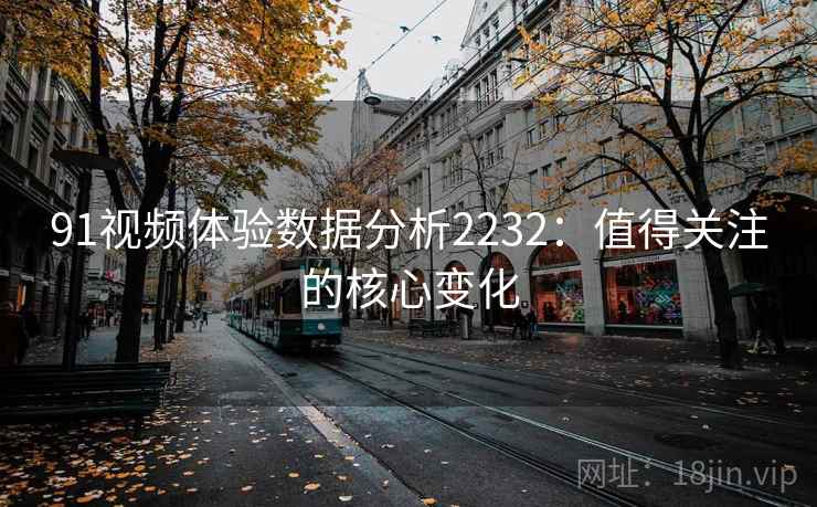 91视频体验数据分析2232：值得关注的核心变化  第2张