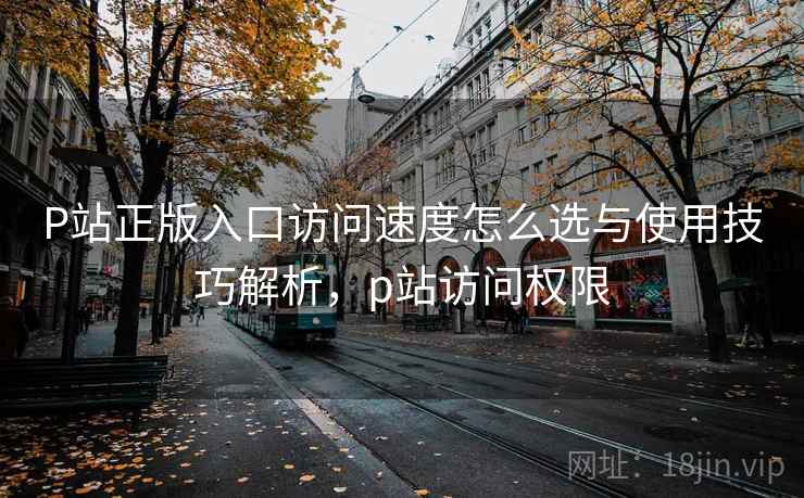 P站正版入口访问速度怎么选与使用技巧解析，p站访问权限  第2张