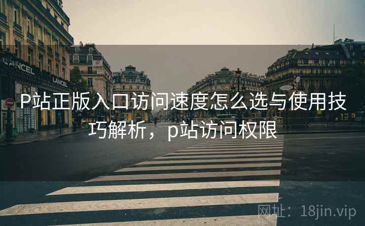 P站正版入口访问速度怎么选与使用技巧解析，p站访问权限  第1张