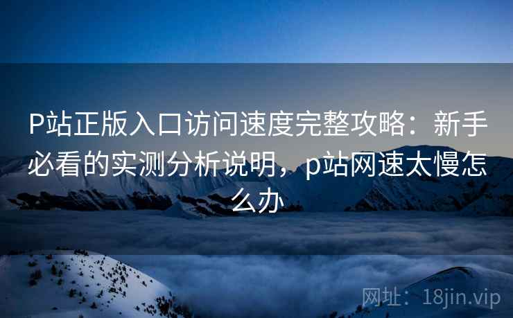 P站正版入口访问速度完整攻略:新手必看的实测分析说明,p站网速太慢怎么办 第2张 P站正版入口访问速度完整攻略:新手必看的实测分析说明,p站网速太慢怎么办 第2张