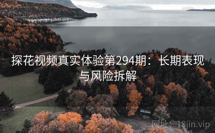 探花视频真实体验第294期:长期表现与风险拆解 第2张 探花视频真实体验第294期:长期表现与风险拆解 第2张
