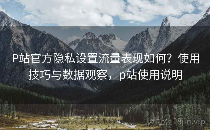 P站官方隐私设置流量表现如何?使用技巧与数据观察,p站使用说明 第2张 P站官方隐私设置流量表现如何?使用技巧与数据观察,p站使用说明 第2张