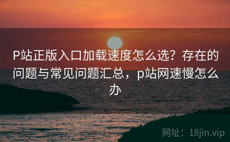 P站正版入口加载速度怎么选?存在的问题与常见问题汇总,p站网速慢怎么办 第2张 P站正版入口加载速度怎么选?存在的问题与常见问题汇总,p站网速慢怎么办 第2张