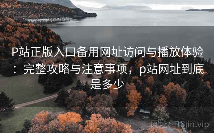 P站正版入口备用网址访问与播放体验:完整攻略与注意事项,p站网址到底是多少 第2张 P站正版入口备用网址访问与播放体验:完整攻略与注意事项,p站网址到底是多少 第2张