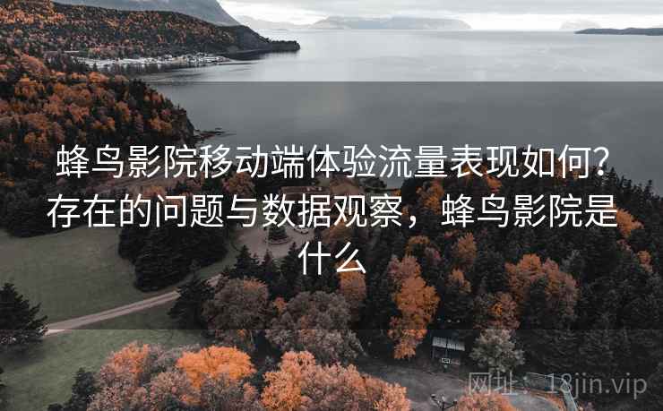 蜂鸟影院移动端体验流量表现如何?存在的问题与数据观察,蜂鸟影院是什么 第1张 蜂鸟影院移动端体验流量表现如何?存在的问题与数据观察,蜂鸟影院是什么 第1张
