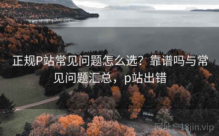 正规P站常见问题怎么选?靠谱吗与常见问题汇总,p站出错 第2张 正规P站常见问题怎么选?靠谱吗与常见问题汇总,p站出错 第2张