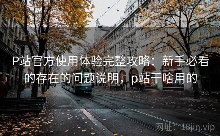 P站官方使用体验完整攻略:新手必看的存在的问题说明,p站干啥用的 第2张 P站官方使用体验完整攻略:新手必看的存在的问题说明,p站干啥用的 第2张